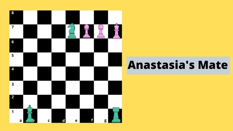 Chess Checkmate Anastasia's Mate 