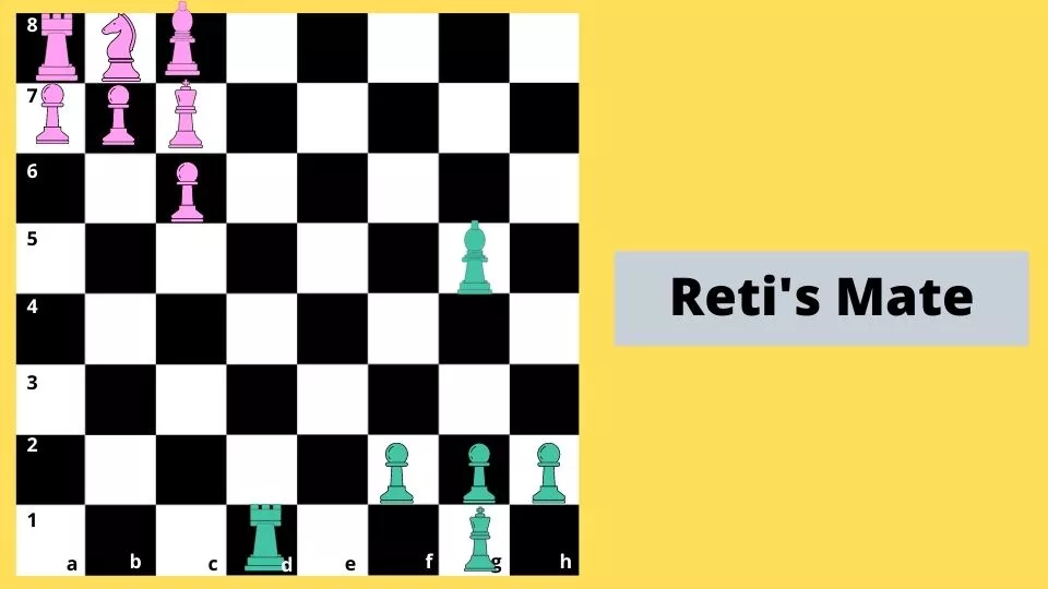 Chess checkmate - Reti mate 